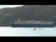 Car Carrier 1464